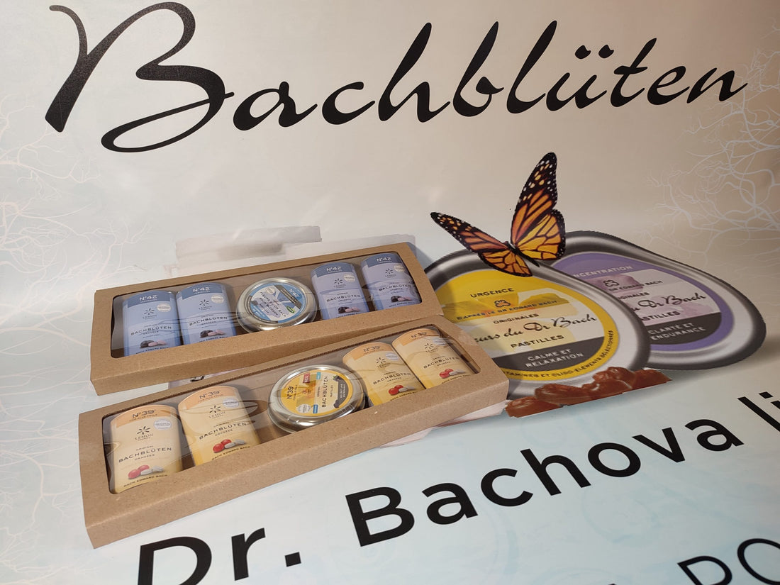 Darilni paket dr. Bach: Dražeji & pastile po izbiri